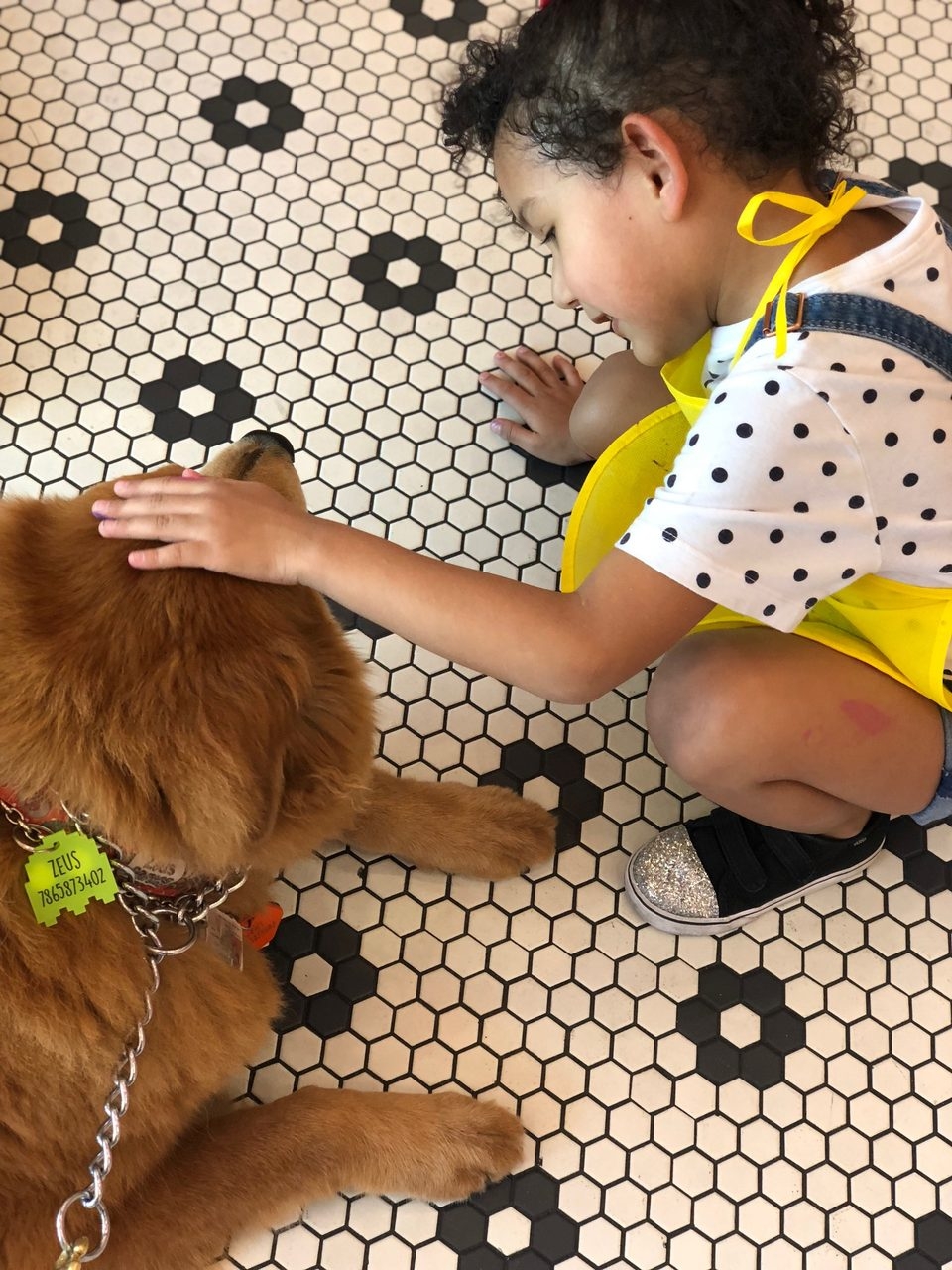 Volunteer Event by Ronald McDonald | Ale Ramos Therapy Animals