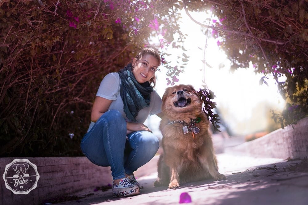 Zeus Adventures | Ale Ramos Therapy Animals