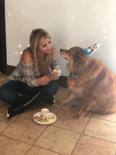 Zeus Adventures | Ale Ramos Therapy Animals