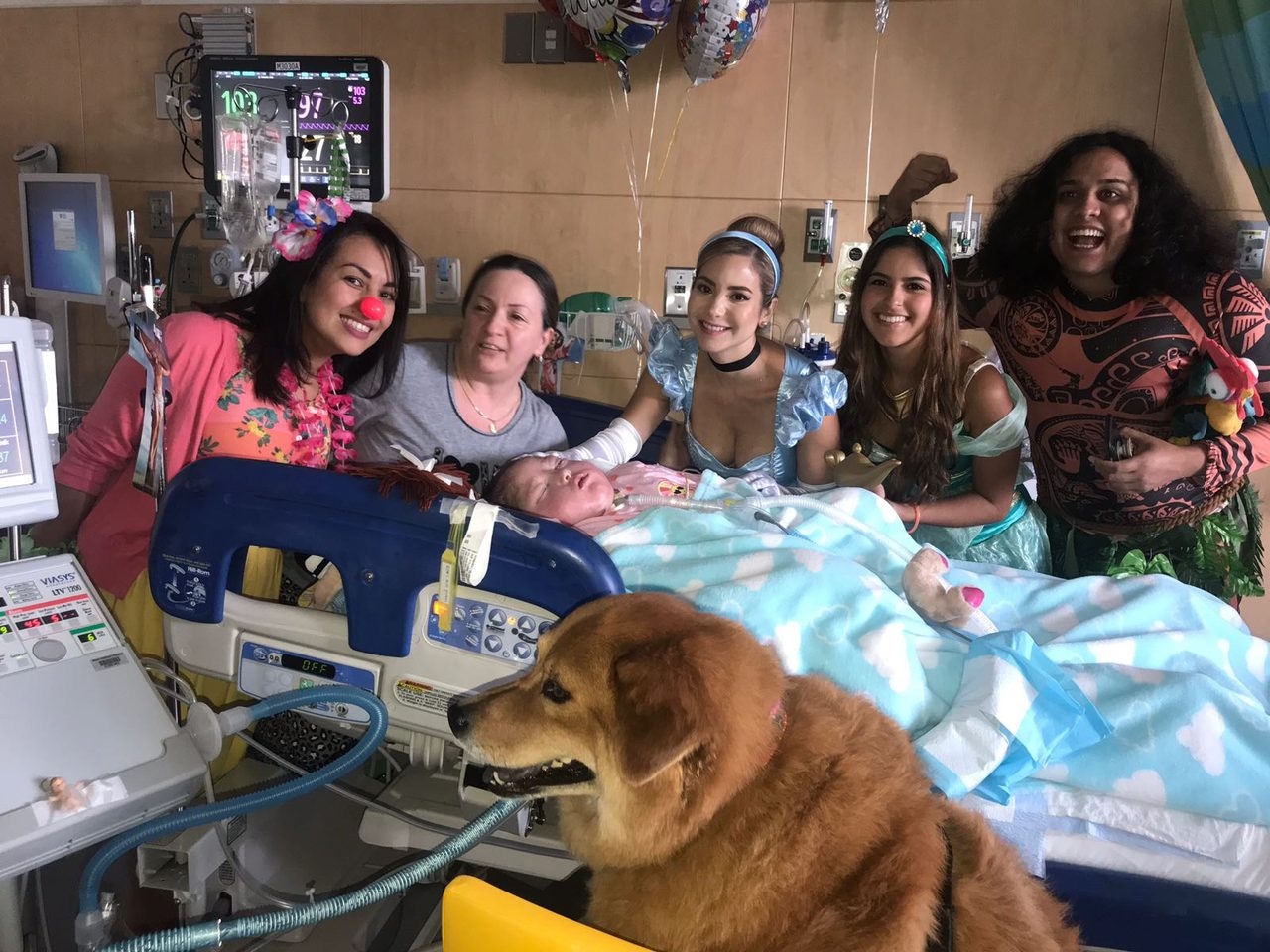 Zeus Adventures | Ale Ramos Therapy Animals