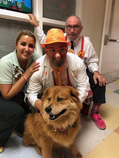 Zeus Adventures | Ale Ramos Therapy Animals