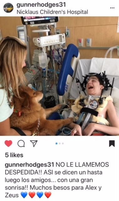 Zeus Adventures | Ale Ramos Therapy Animals