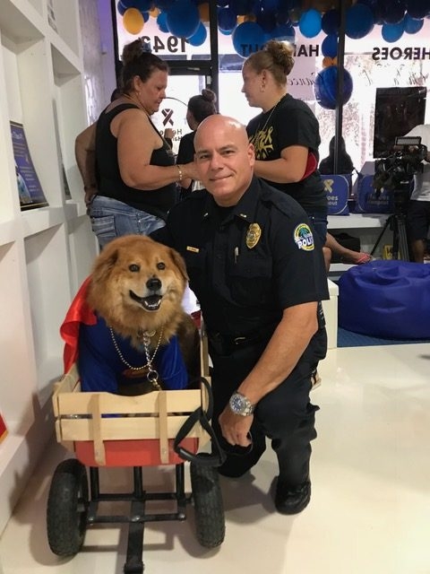 Zeus Adventures | Ale Ramos Therapy Animals