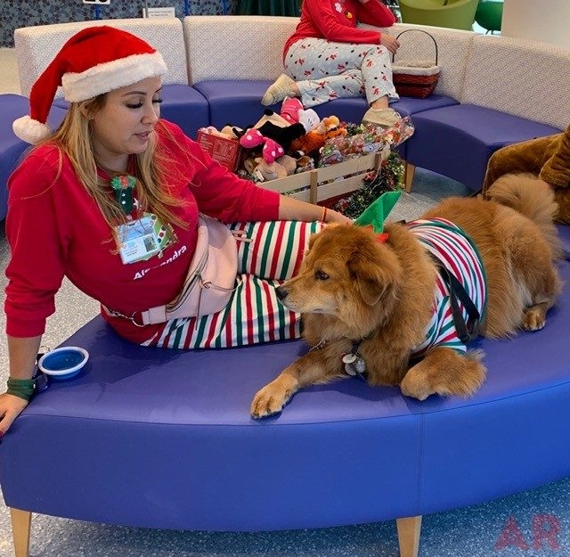 Zeus Adventures | Ale Ramos Therapy Animals