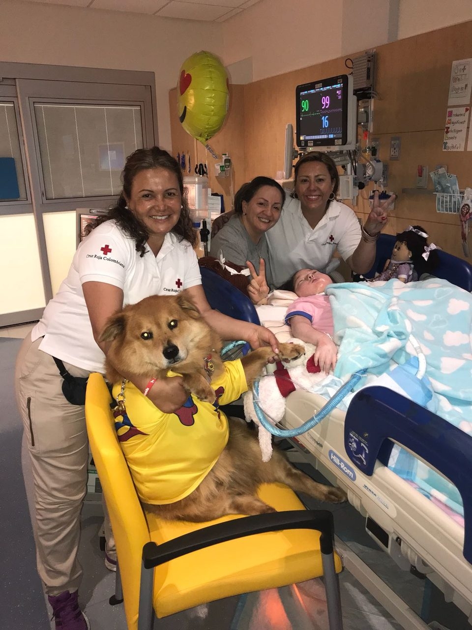 Zeus Adventures | Ale Ramos Therapy Animals