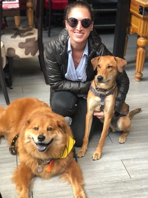 Zeus Bogotá Trip - Interviews Television + Radio | Ale Ramos Therapy Animals