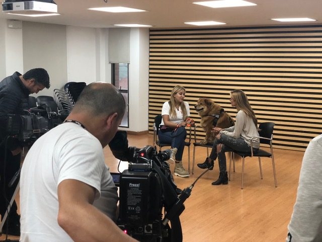 Zeus Bogotá Trip - Interviews Television + Radio | Ale Ramos Therapy Animals