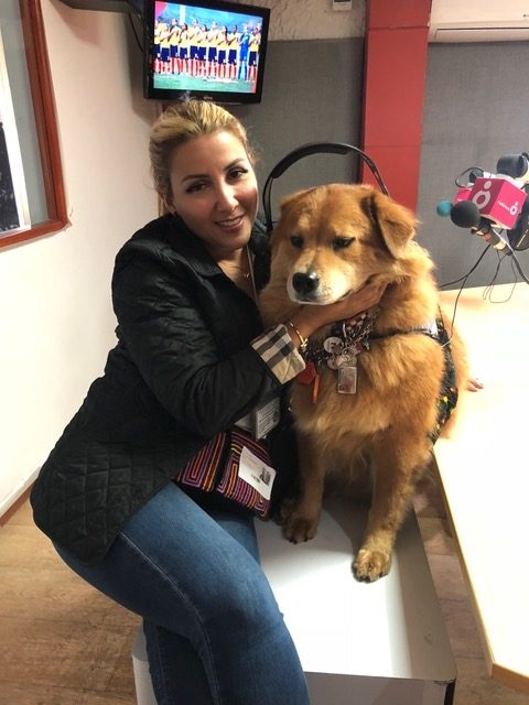 Zeus Bogotá Trip - Interviews Television + Radio | Ale Ramos Therapy Animals