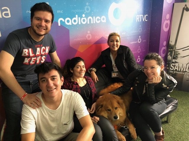 Zeus Bogotá Trip - Interviews Television + Radio | Ale Ramos Therapy Animals