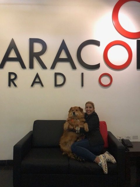 Zeus Bogotá Trip - Interviews Television + Radio | Ale Ramos Therapy Animals