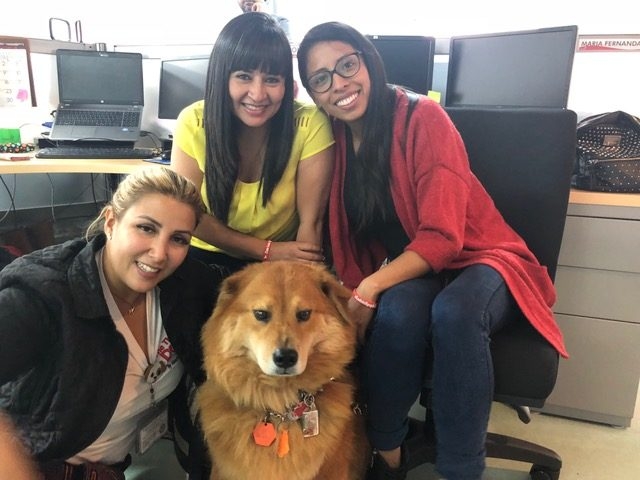 Zeus Bogotá Trip - Interviews Television + Radio | Ale Ramos Therapy Animals
