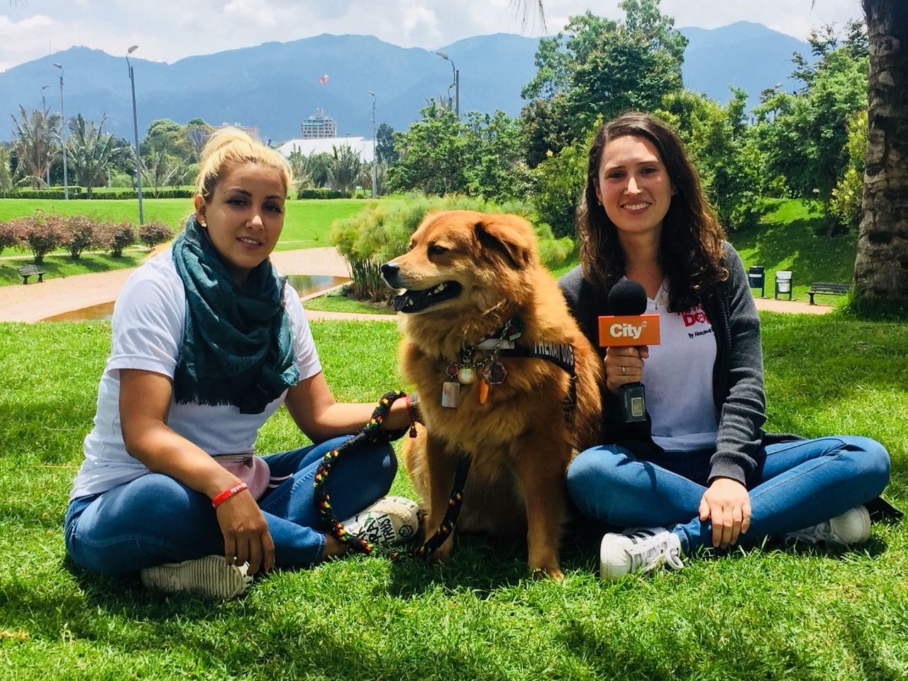 Zeus Bogotá Trip - Interviews Television + Radio | Ale Ramos Therapy Animals