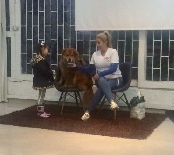 Zeus Bogotá Trip - Interviews Television + Radio | Ale Ramos Therapy Animals