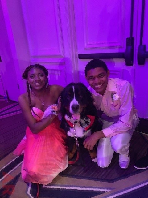 6th Annual Carlin Prom Night by Nicklaus Children’s Hospital | Ale Ramos Therapy Animals