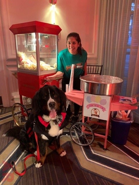 6th Annual Carlin Prom Night by Nicklaus Children’s Hospital | Ale Ramos Therapy Animals
