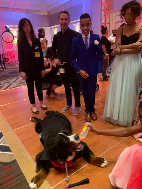 6th Annual Carlin Prom Night by Nicklaus Children’s Hospital | Ale Ramos Therapy Animals