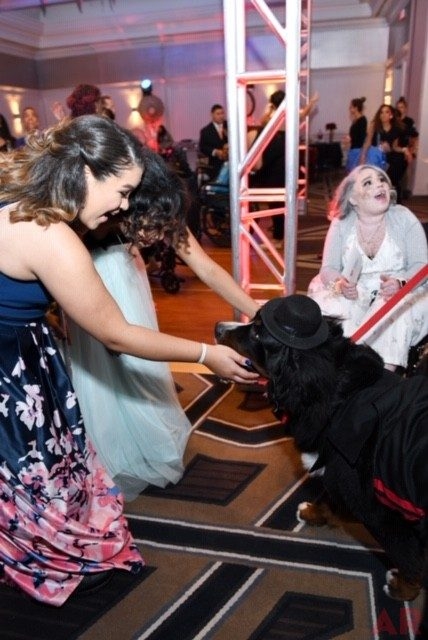 6th Annual Carlin Prom Night by Nicklaus Children’s Hospital | Ale Ramos Therapy Animals