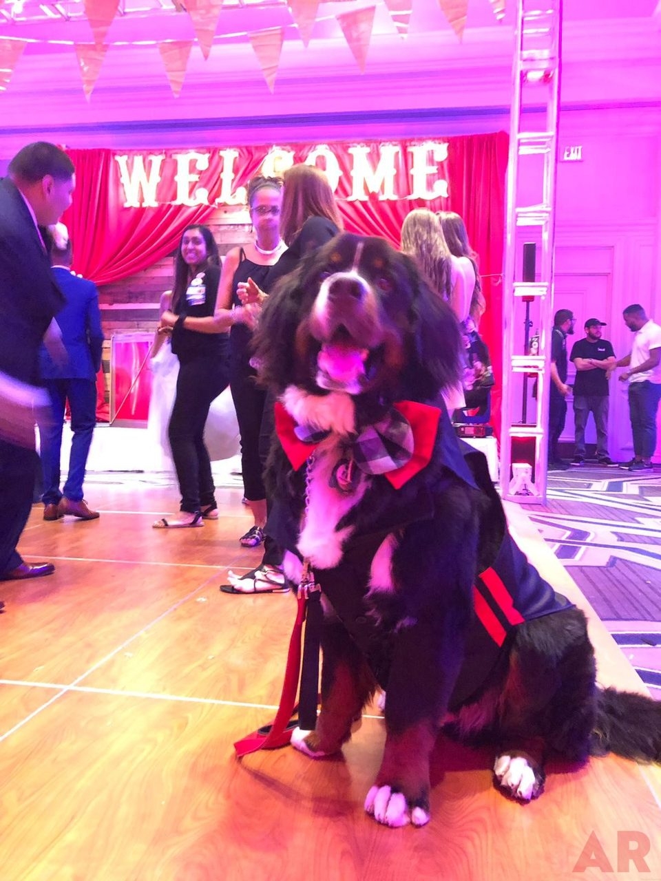 6th Annual Carlin Prom Night by Nicklaus Children’s Hospital | Ale Ramos Therapy Animals