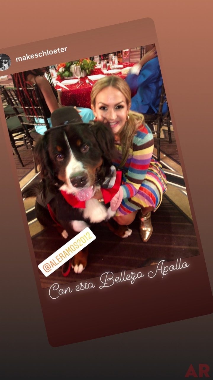 6th Annual Carlin Prom Night by Nicklaus Children’s Hospital | Ale Ramos Therapy Animals