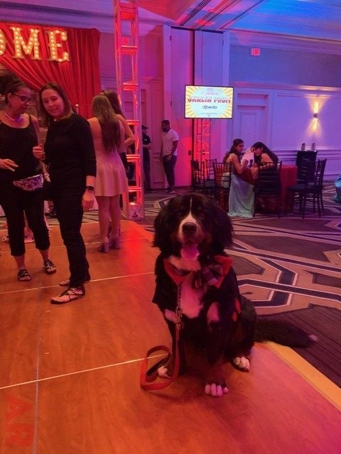 6th Annual Carlin Prom Night by Nicklaus Children’s Hospital | Ale Ramos Therapy Animals