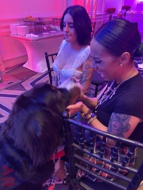 6th Annual Carlin Prom Night by Nicklaus Children’s Hospital | Ale Ramos Therapy Animals