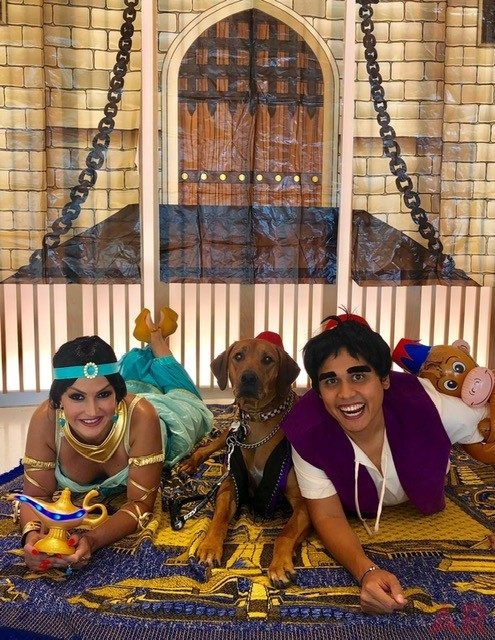 Aladdin Day at Nicklaus Children’s Hospital | Ale Ramos Therapy Animals