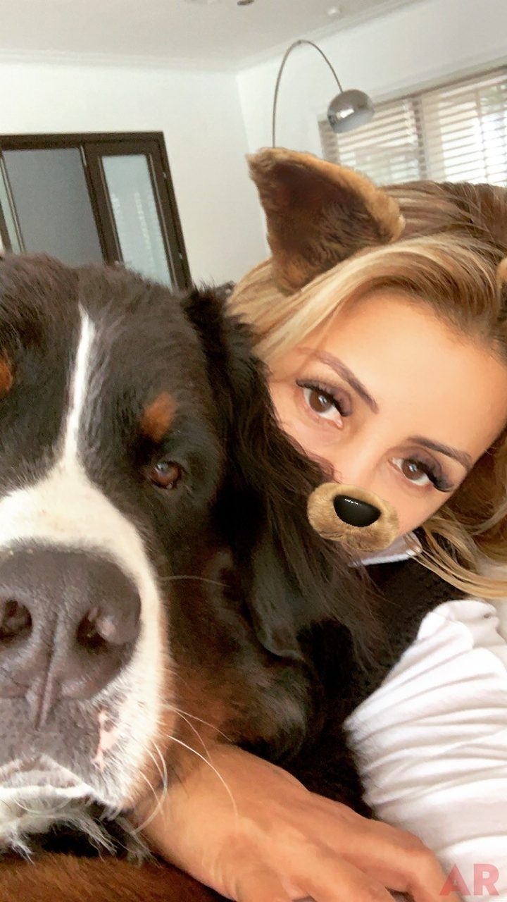 Apollo Love | Ale Ramos Therapy Animals
