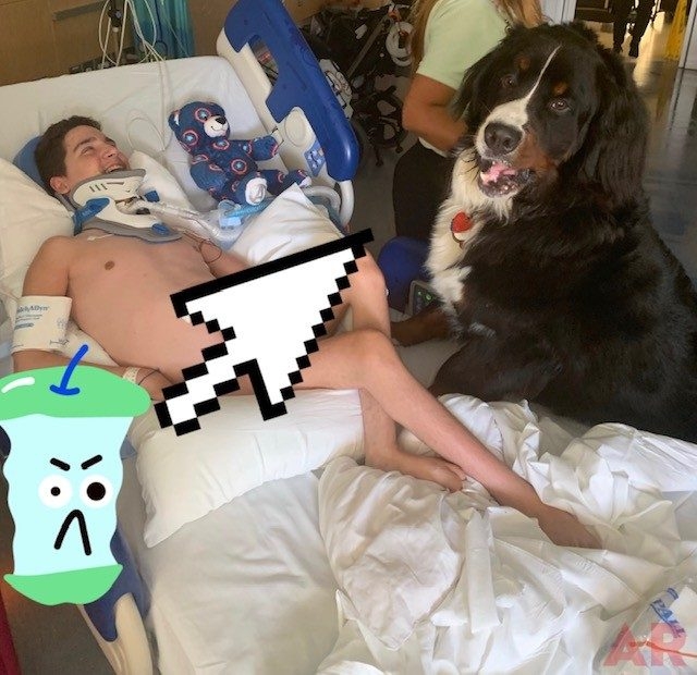 Apollo Love | Ale Ramos Therapy Animals