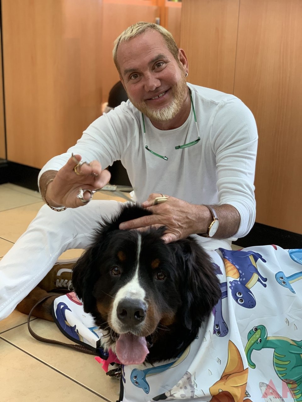 Apollo Love | Ale Ramos Therapy Animals