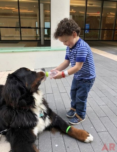 Apollo Love | Ale Ramos Therapy Animals