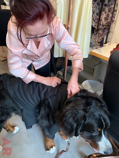 Apollo Love | Ale Ramos Therapy Animals