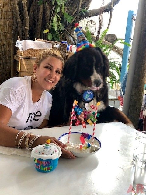 Apollo Love | Ale Ramos Therapy Animals