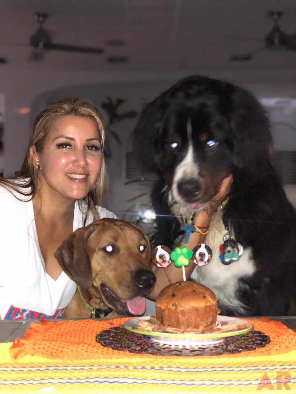 Apollo Love | Ale Ramos Therapy Animals
