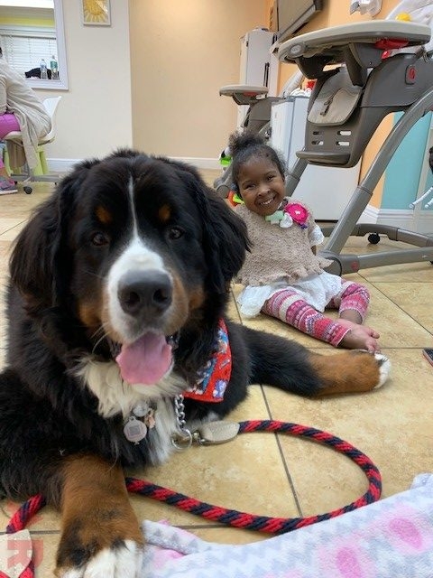 Apollo visit Pedikidz | Ale Ramos Therapy Animals