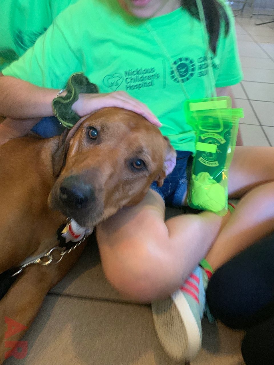 Camp Roaring Sun by Nicklaus Children’s Hospital | Ale Ramos Therapy Animals
