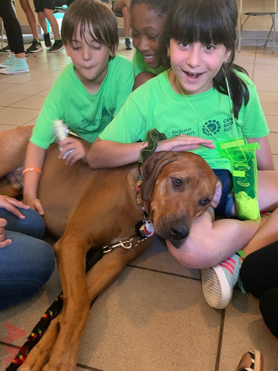 Camp Roaring Sun by Nicklaus Children’s Hospital | Ale Ramos Therapy Animals