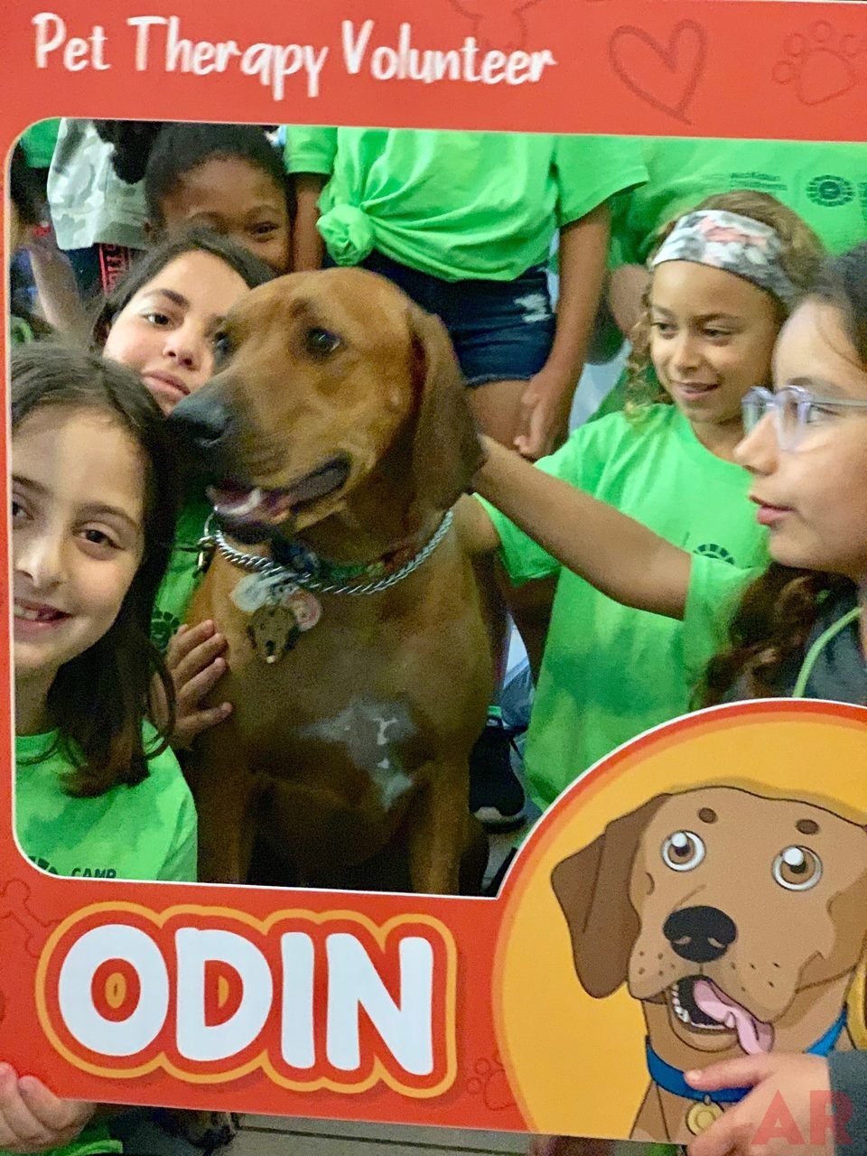 Camp Roaring Sun by Nicklaus Children’s Hospital | Ale Ramos Therapy Animals