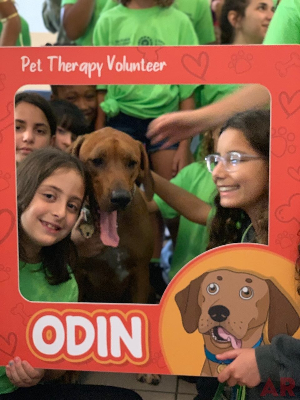 Camp Roaring Sun by Nicklaus Children’s Hospital | Ale Ramos Therapy Animals