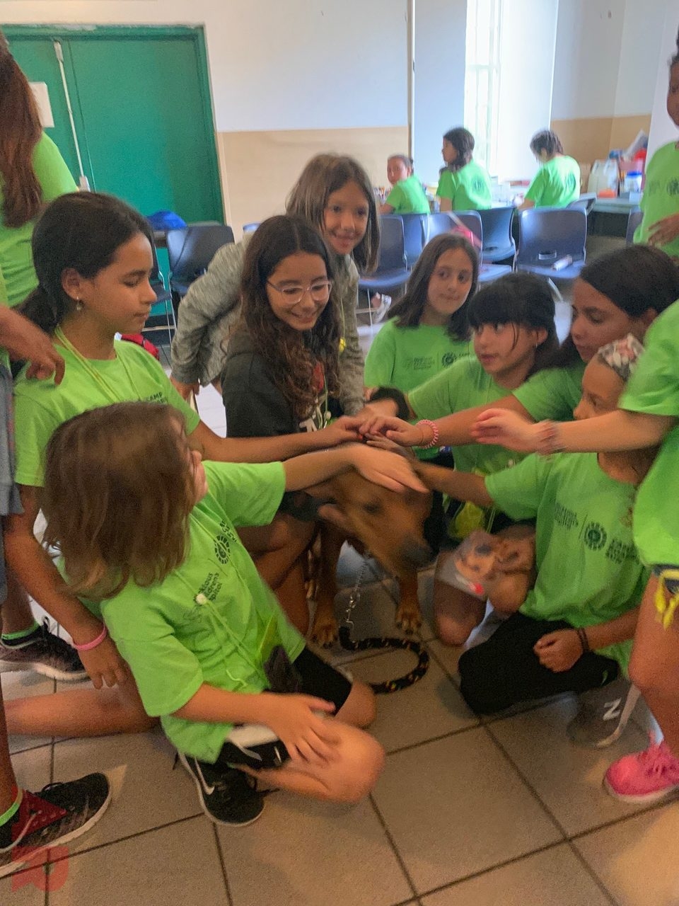 Camp Roaring Sun by Nicklaus Children’s Hospital | Ale Ramos Therapy Animals