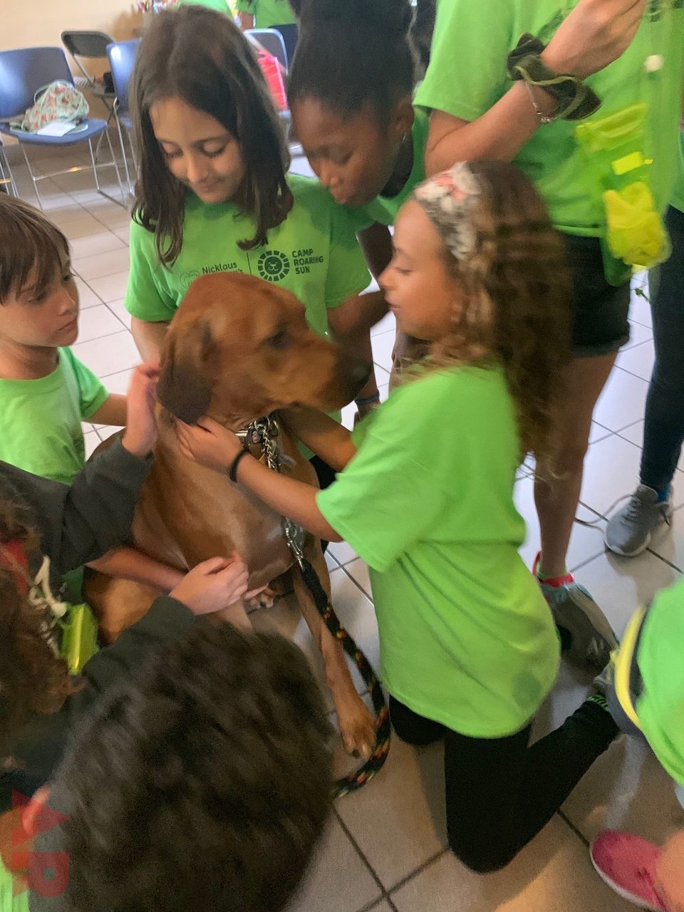 Camp Roaring Sun by Nicklaus Children’s Hospital | Ale Ramos Therapy Animals