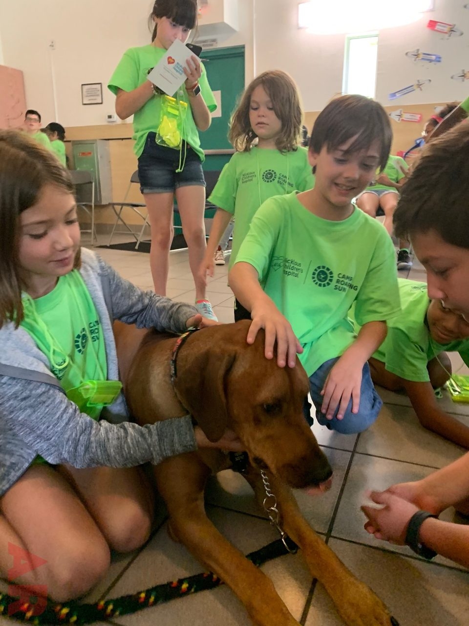 Camp Roaring Sun by Nicklaus Children’s Hospital | Ale Ramos Therapy Animals