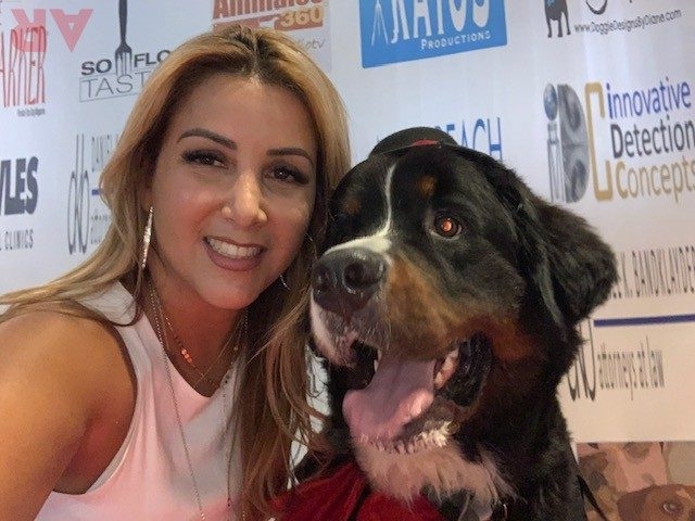 Canine Film Festival Miami - USA | Ale Ramos Therapy Animals