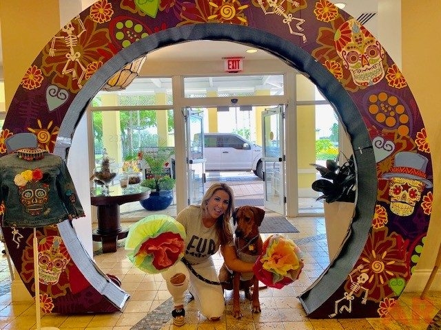 Canine Film Festival Miami - USA | Ale Ramos Therapy Animals