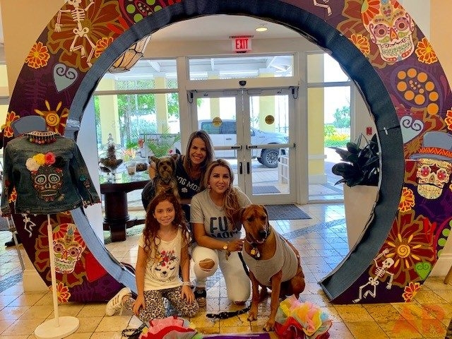 Canine Film Festival Miami - USA | Ale Ramos Therapy Animals