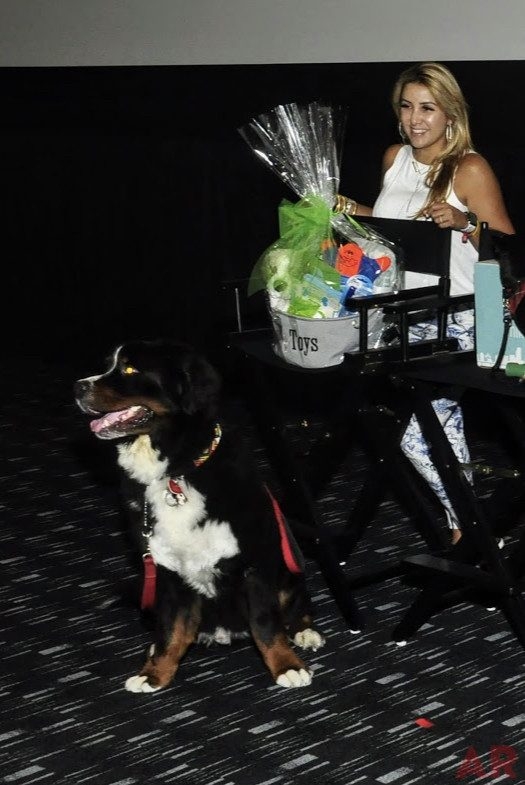 Canine Film Festival Miami - USA | Ale Ramos Therapy Animals