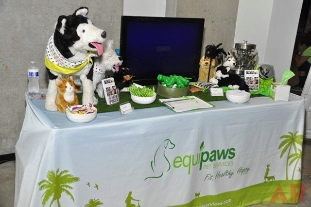 Canine Film Festival Miami - USA | Ale Ramos Therapy Animals