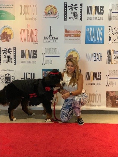 Canine Film Festival Miami - USA | Ale Ramos Therapy Animals