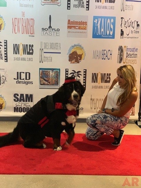 Canine Film Festival Miami - USA | Ale Ramos Therapy Animals