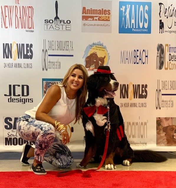 Canine Film Festival Miami - USA | Ale Ramos Therapy Animals
