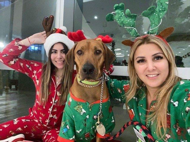 Christmas Day at Nicklaus Children’s Hospital | Ale Ramos Therapy Animals